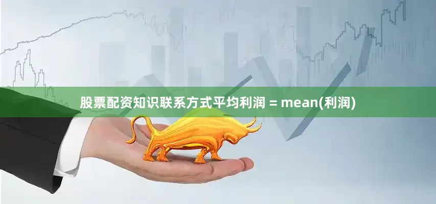 股票配资知识联系方式平均利润 = mean(利润)