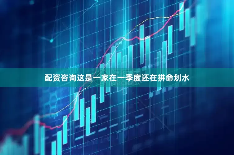 配资咨询这是一家在一季度还在拼命划水
